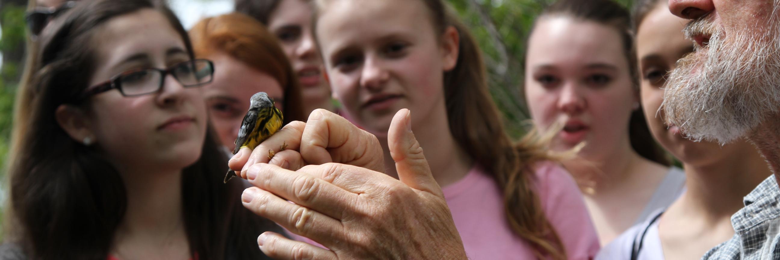 Manomet Banding banner