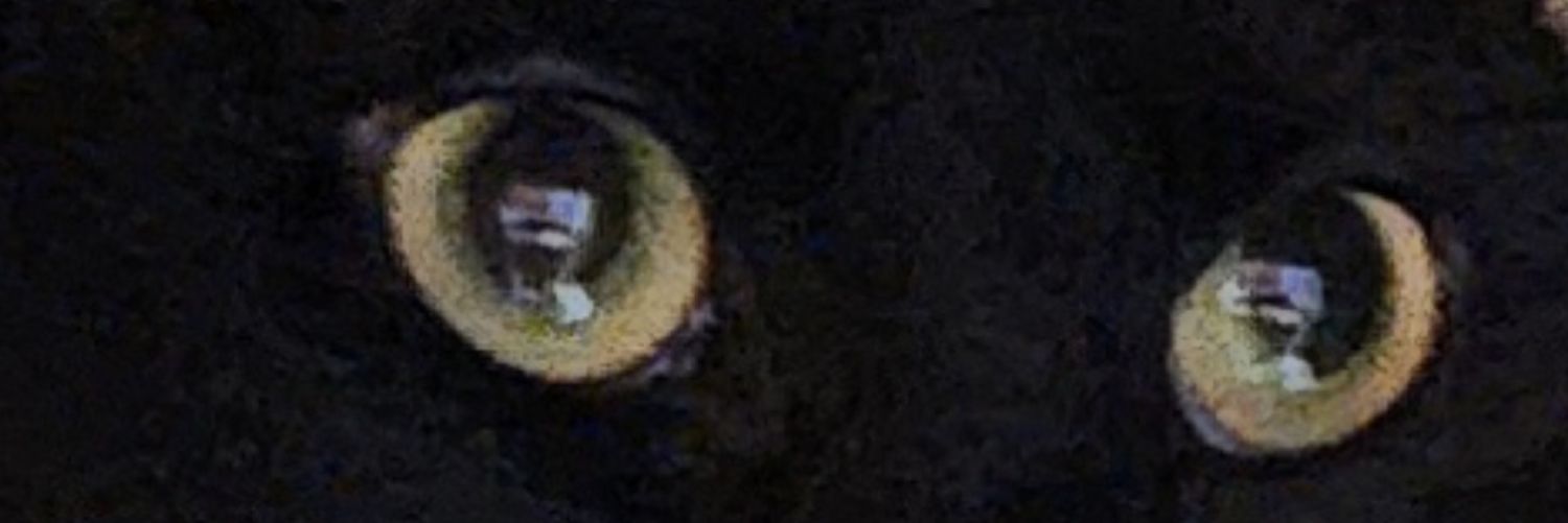 ˗ˏˋ ★ ˎˊ˗ ReP5ychL3d ˗ˏˋ ★ ˎˊ˗ banner