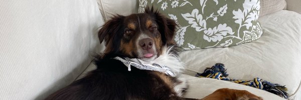 jdpreston30 Profile Banner