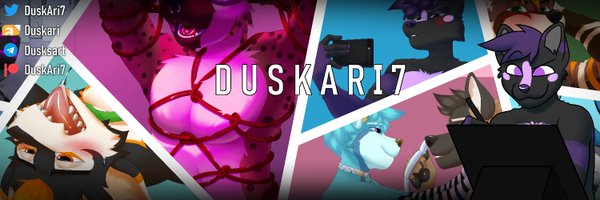 DuskAri7 Profile Banner