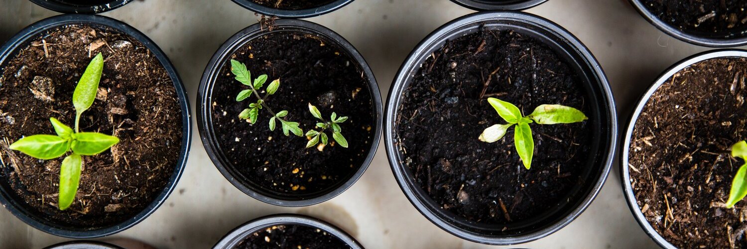 Front Porch Venture Partners banner