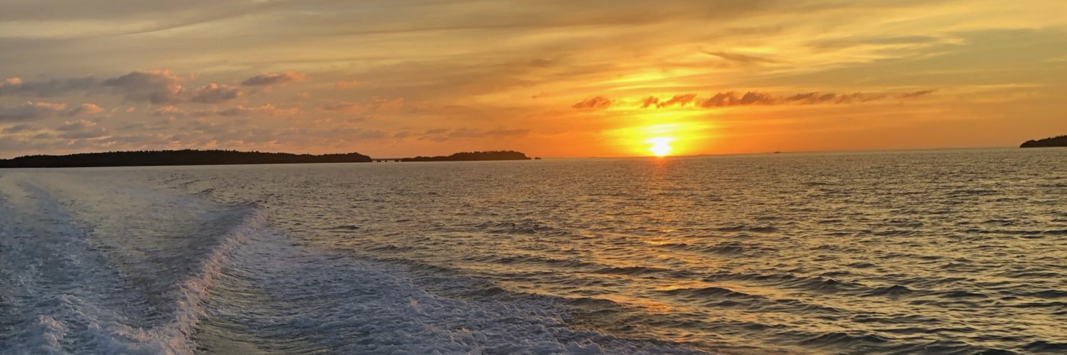 sylviarosabal's profile banner image