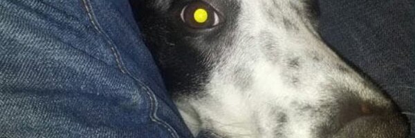 SethAbner Profile Banner