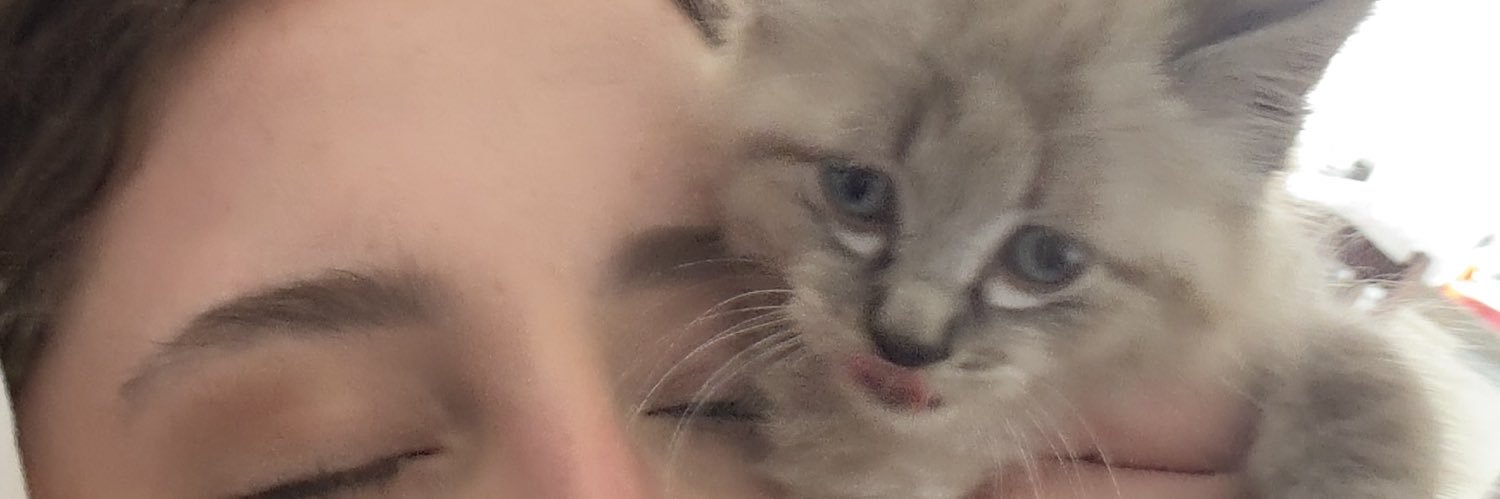 Dud4azzo's profile banner image