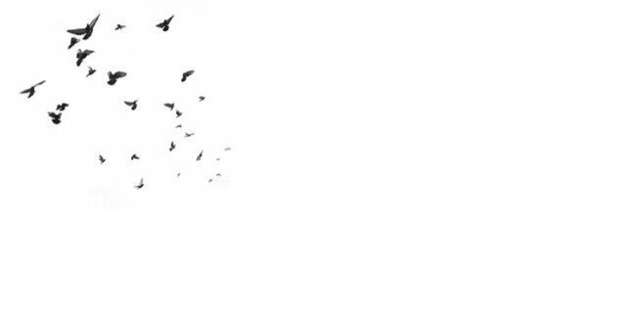 virtualhugs4ari's profile banner image