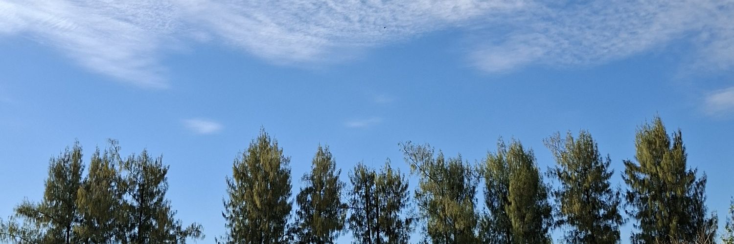 Asaseo💭 banner