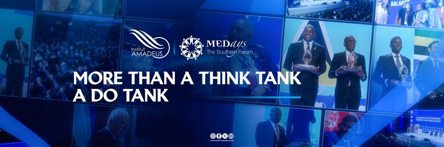 Institut Amadeus banner