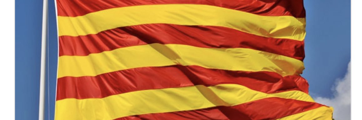 ullsdellepol's profile banner image