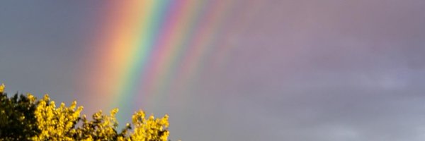 AmachleD Profile Banner