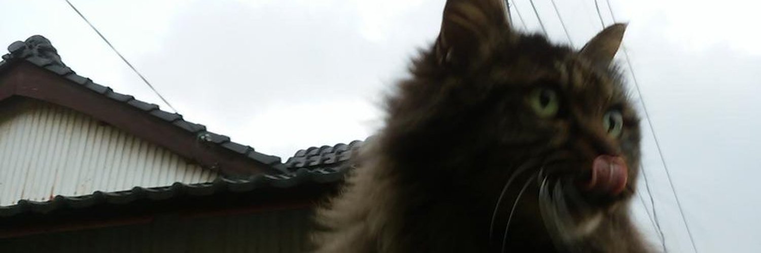鈍挫 banner