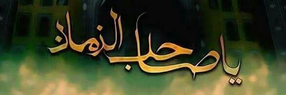 السید تقی شاہ زیدی banner