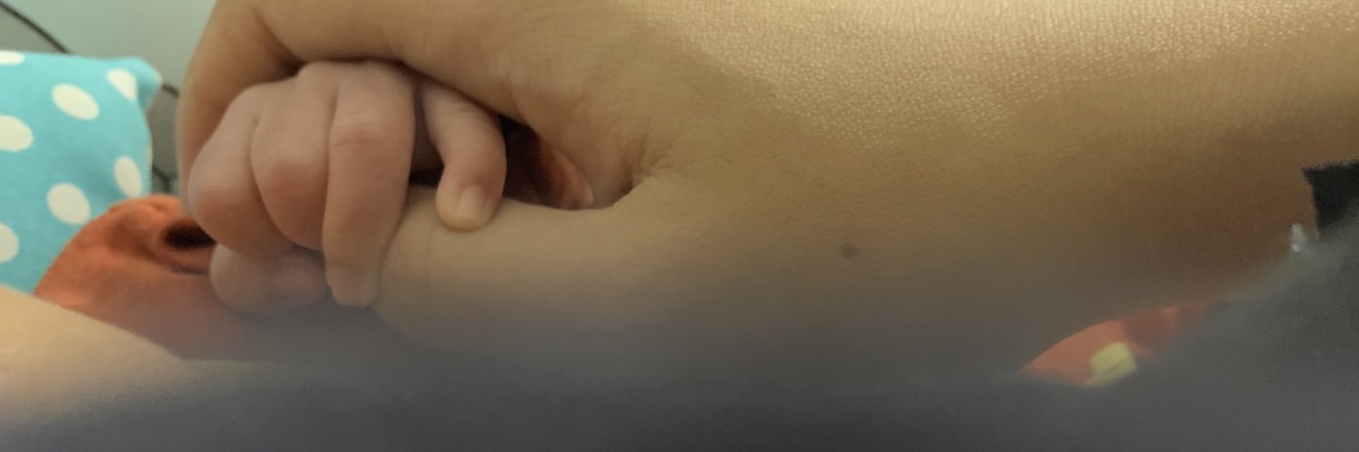 sun that never sets banner
