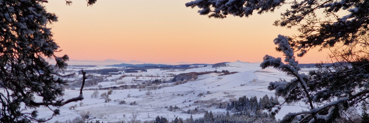 tirlwen's profile banner image