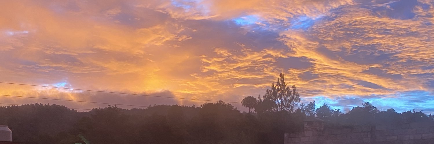 soflopezolalde's profile banner image