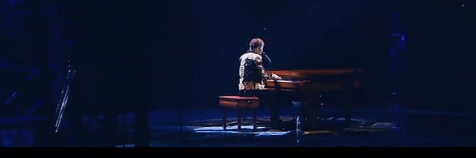 Dolphin70081529's profile banner image