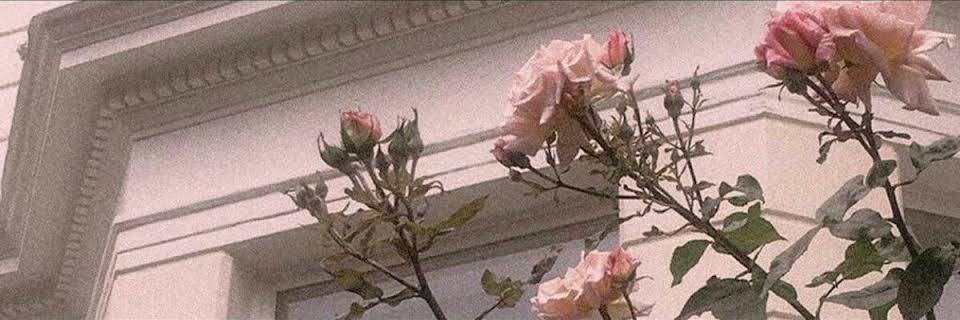 VitorSMaia's profile banner image