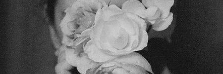 delphi_hen's profile banner image