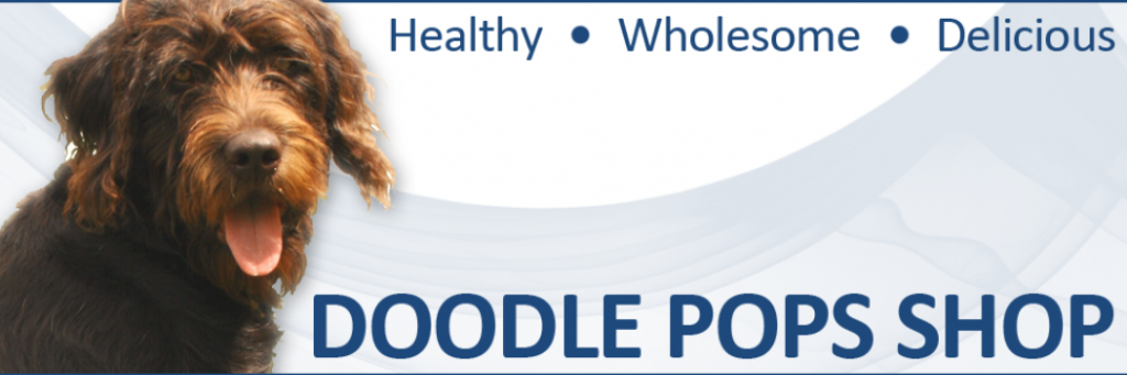 DoodlePopsShop's profile banner image