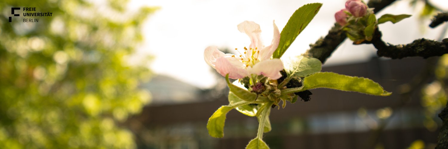 Friedrich Schlegel Graduiertenschule banner