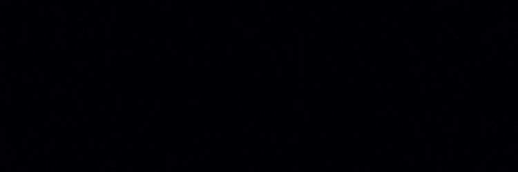 12 banner