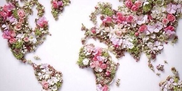 mika_sadowska's profile banner image