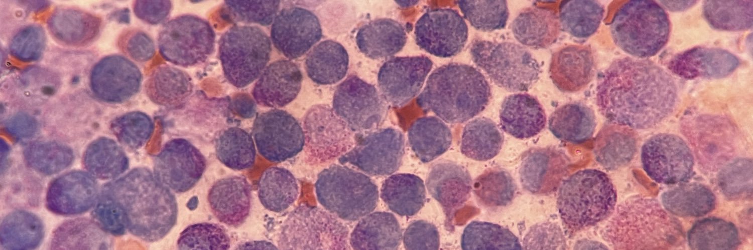 Lalokvyro's profile banner image