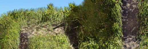 deep_verdure's profile banner image