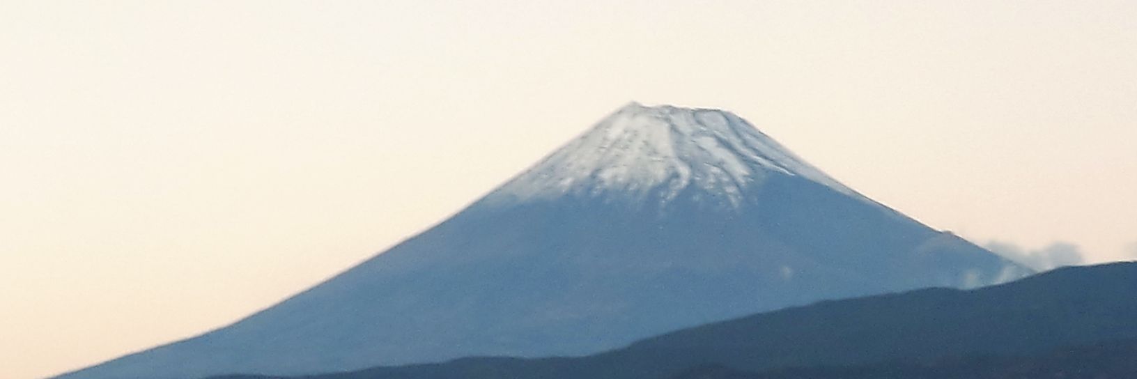 02yoshi's profile banner image