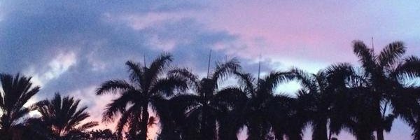solyann18's profile banner image