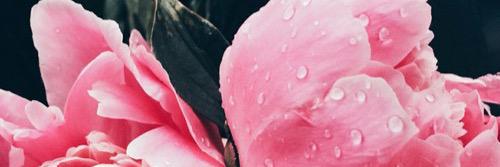 ManoukxX_'s profile banner image