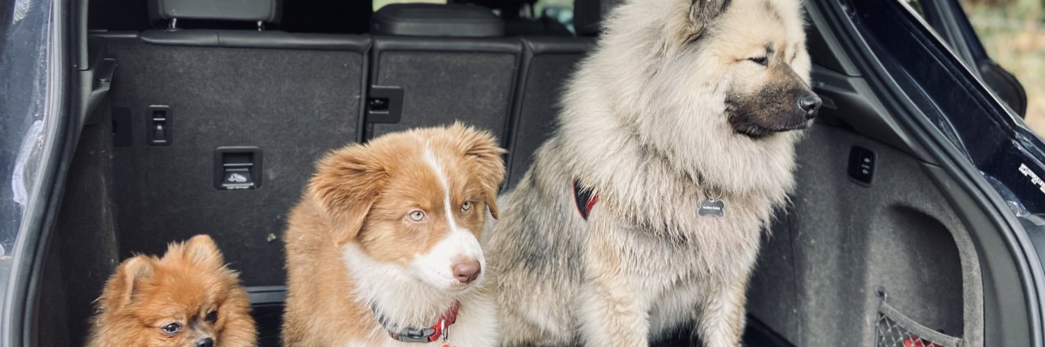 Félix Malfait banner