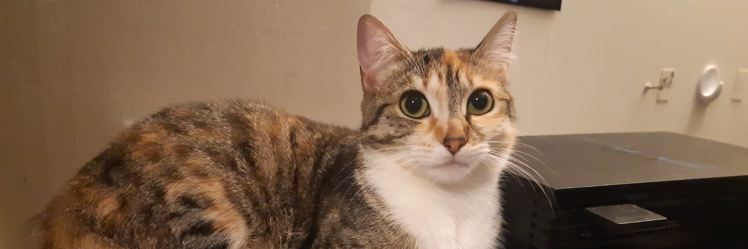 Patrick Furlong banner