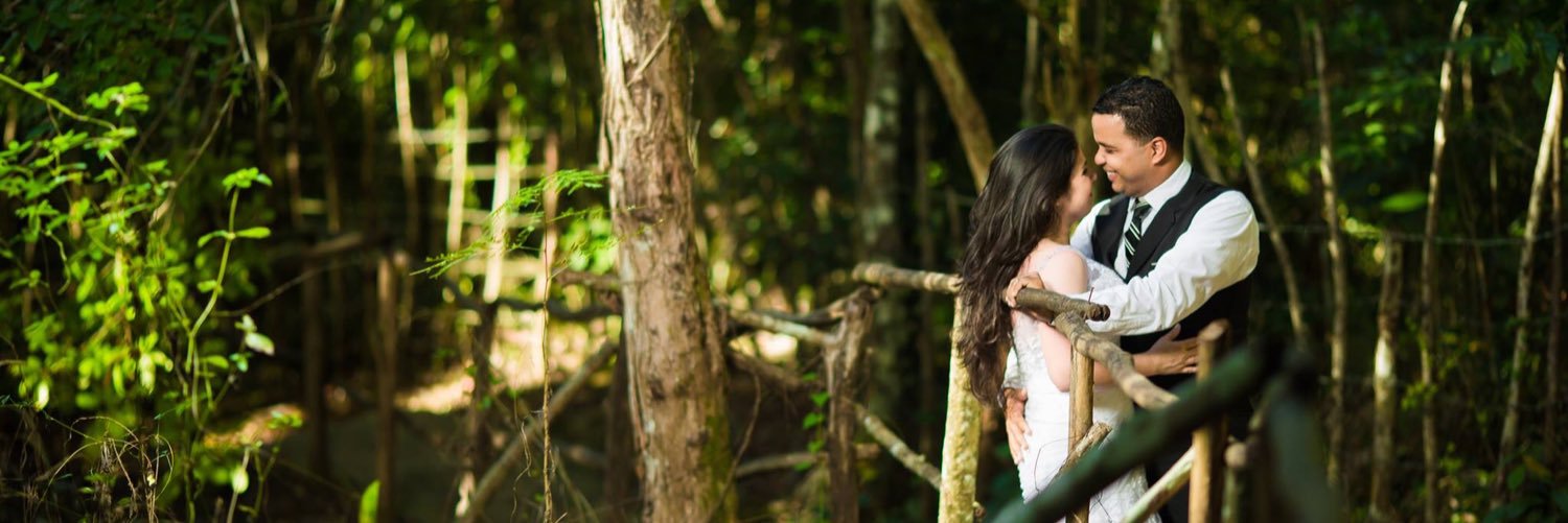 anatorelli's profile banner image