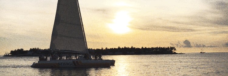 rusheel_p's profile banner image