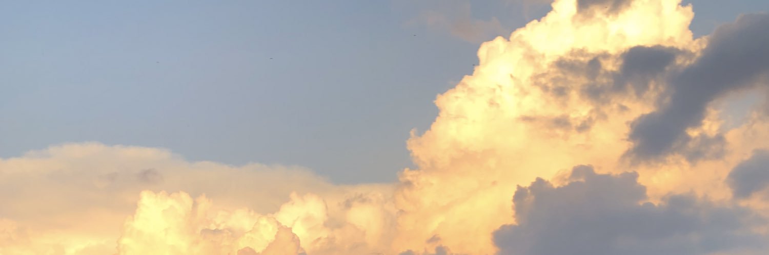 _erinwillard's profile banner image