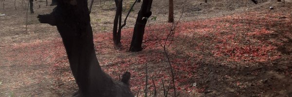 MeenasSugrive Profile Banner