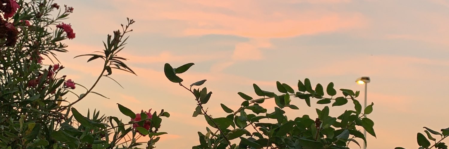 luucicss's profile banner image