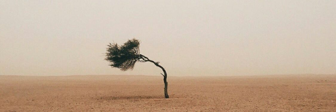 半⃝ド⃝ア⃝ banner