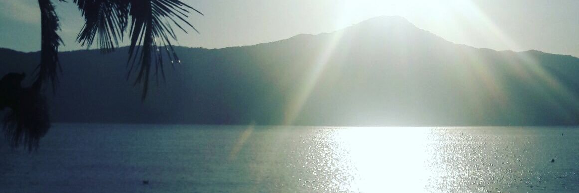 NaMandarin's profile banner image