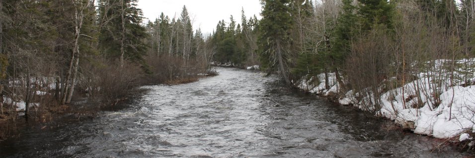 Bruno Collard banner