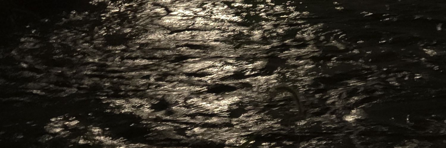 gmlfua's profile banner image