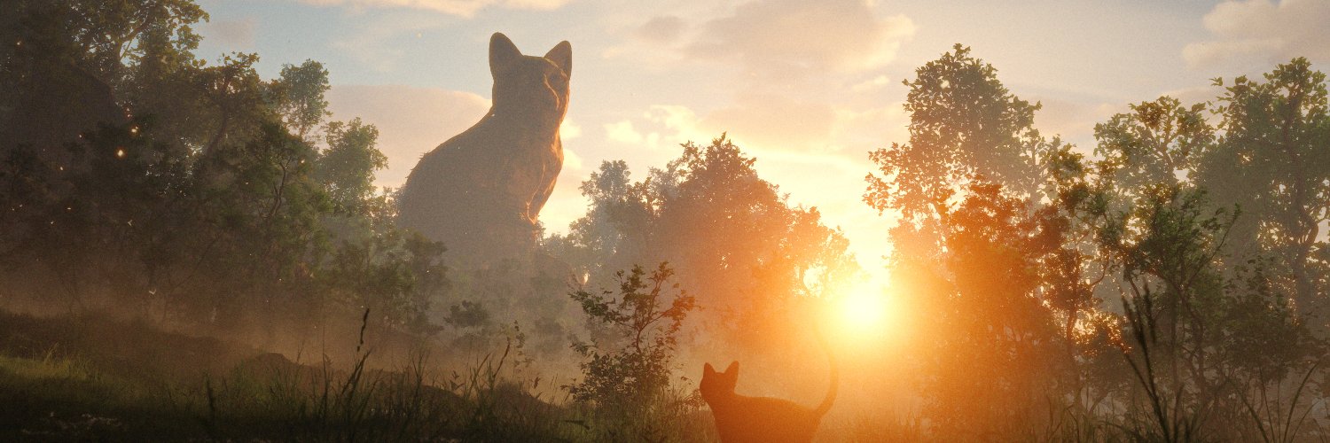 showroomcinema's profile banner image
