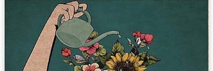 Safia Dahani banner