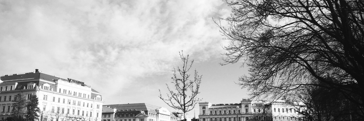 b3lf's profile banner image