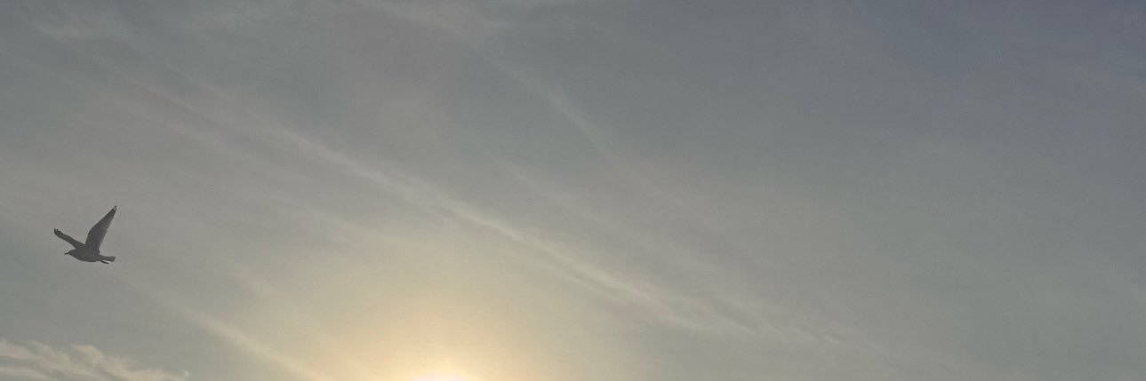 subnegr0's profile banner image