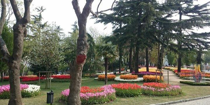 MeralBozoglu's profile banner image