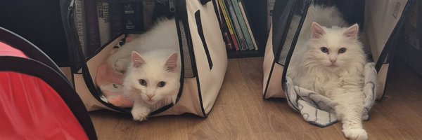 ImDanielleEGray Profile Banner