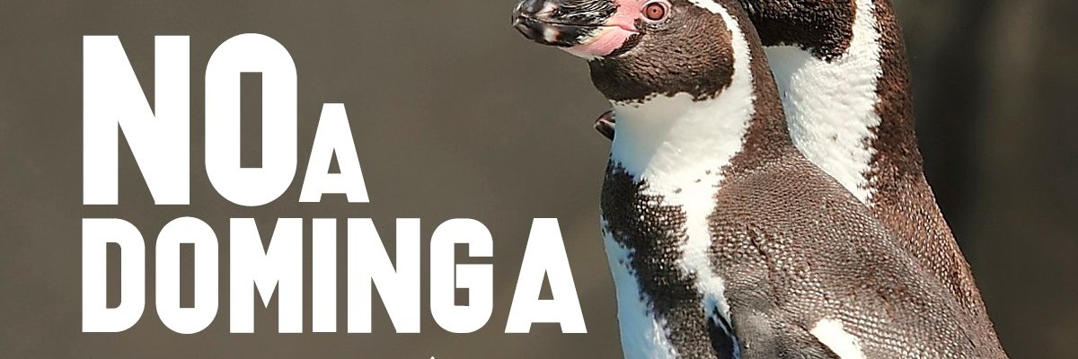 Freepensadora33's profile banner image