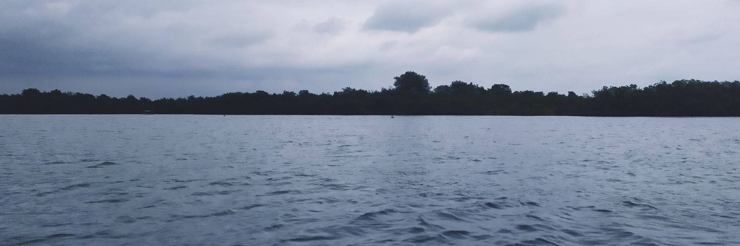 MarcosBorquez_'s profile banner image