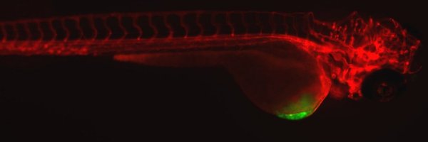 mayra_m_91 Profile Banner